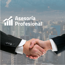 asesoria profesional